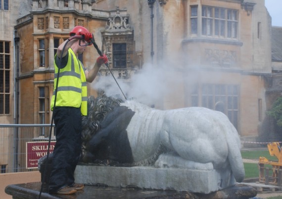 Lion Terrace in progress