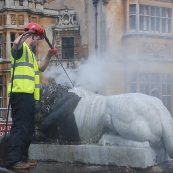 Lion Terrace in progress