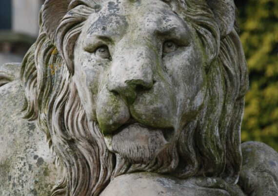 Harlaxton Front Circle, Coade stone lion before conservation