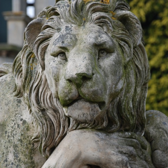 Harlaxton Front Circle, Coade stone lion before conservation